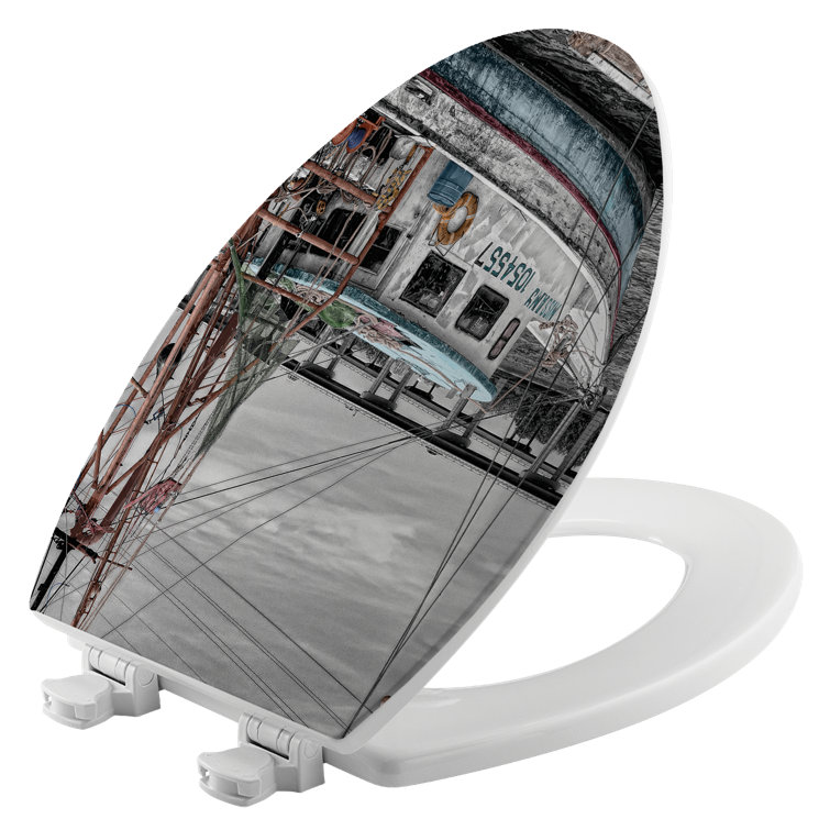 House & Homebody Co. Elongated Toilet Seat and Lid Wayfair Canada